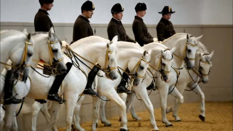 Spanish Riding School – Top 10 Things to See And Do in Vienna, Austria